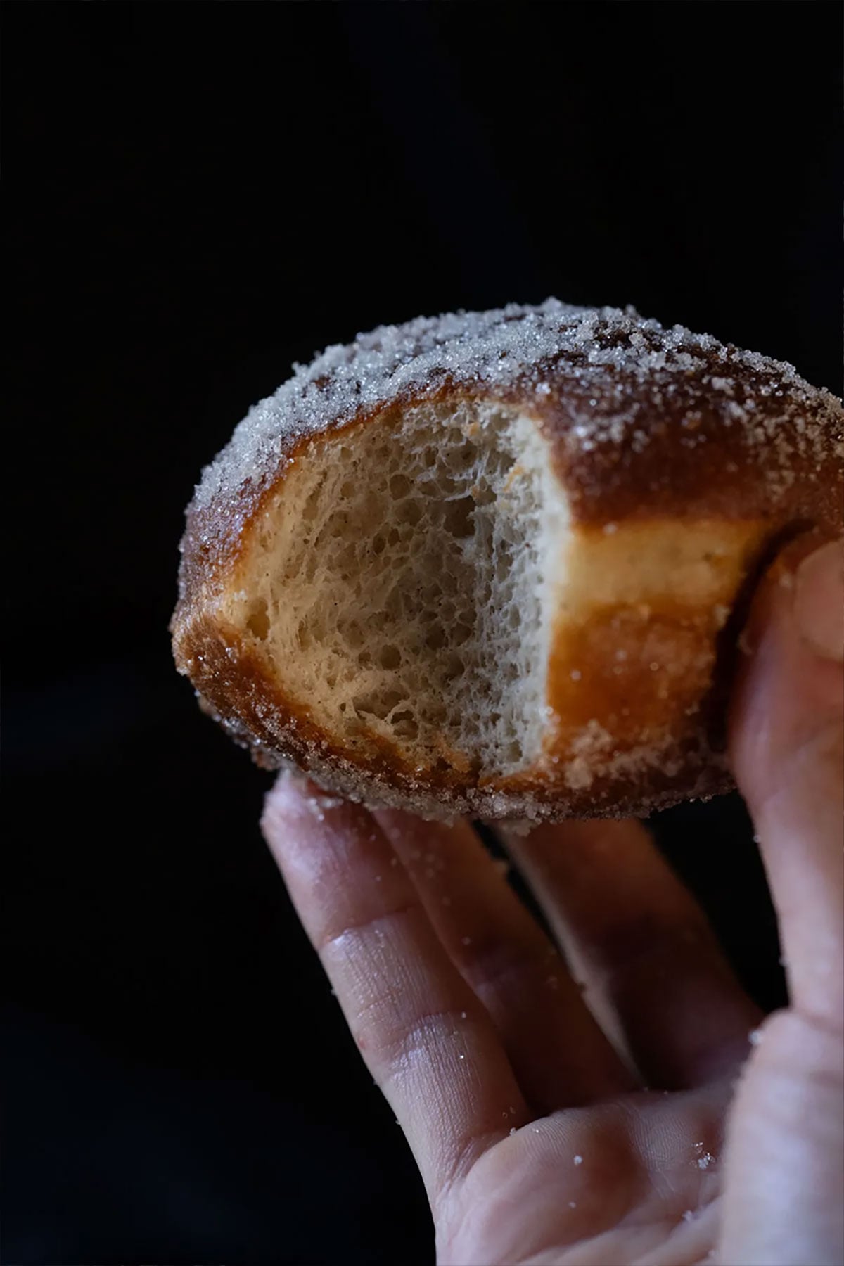 Closeup of a sourdough donut showing its fluffy texture